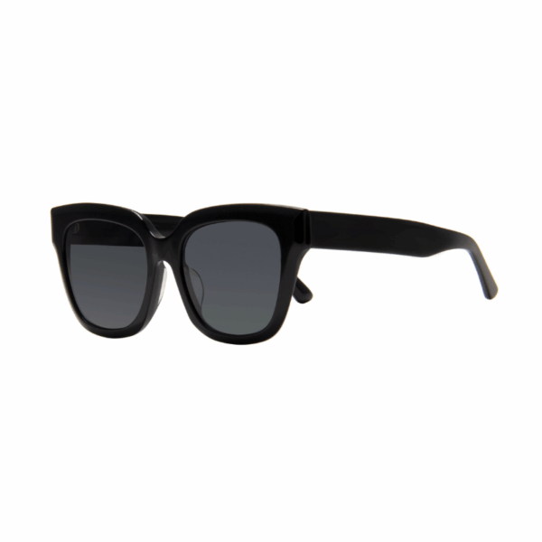 black acetate sunglasses